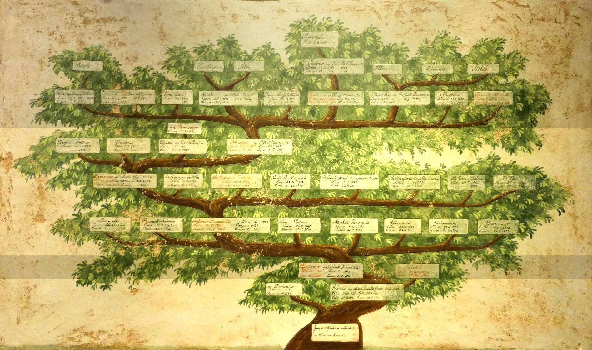 Albero genealogico famiglia Puccini