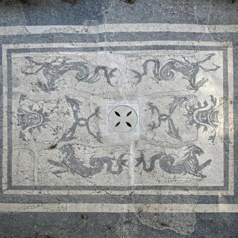 Mosaico_pavimentale_Massaciuccoli