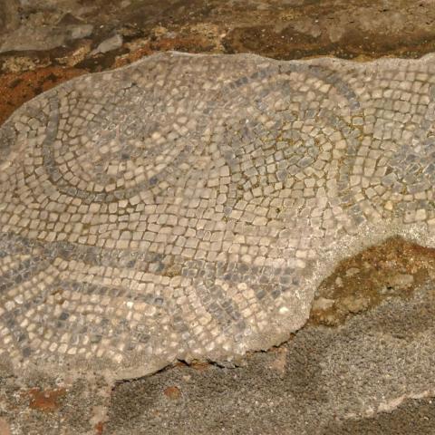 Mosaici Museo Cattedrale Lucca