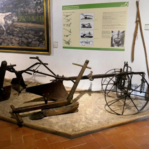 aratri_museo_lavoro_seravezza